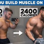 Can You Build Muscle on Maintenance Calories