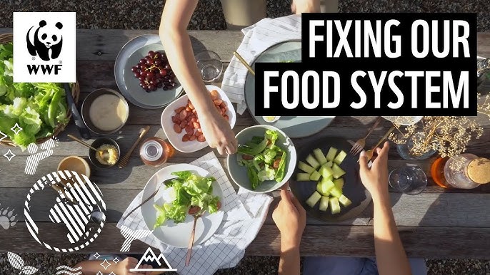 How to Change the Way You Think About Food